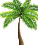 The Emblem of Palmyra Atoll