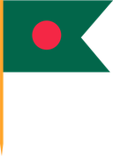 The Flag of Bangladesh V Cut
