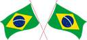 The Flag of Brazil Crossed Flags
