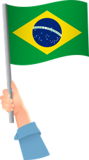 The Flag of Brazil Handheld