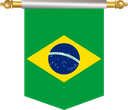 The Flag of Brazil Hanging Banner III