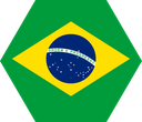 The Flag of Brazil Hexagon I