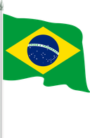 The Flag of Brazil Pole Flag II