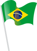 The Flag of Brazil Pole Flag I