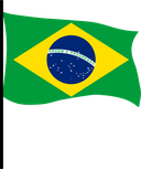 The Flag of Brazil Pole Flag III
