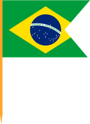 The Flag of Brazil V Cut