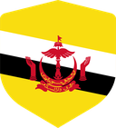 The Flag of Brunei Shielded I