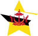 The Flag of Brunei Star