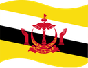 The Flag of Brunei Wavy I