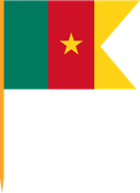 The Flag of Cameroon V Cut