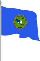The Flag of Central American Integration System Pole Flag II