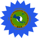 The Flag of Central American Integration System Star Burst