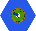 The Flag of Central American Integration System Hexagon I