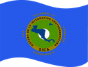 The Flag of Central American Integration System Wavy I