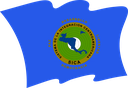 The Flag of Central American Integration System Wavy II