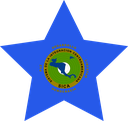 The Flag of Central American Integration System Star