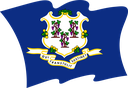 The Flag of Connecticut Wavy II
