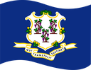 The Flag of Connecticut Wavy I