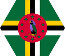 The Flag of Dominica Hexagon I