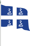 The Flag of Drapeau Aux Serpents De La Martinique Pole Flag II