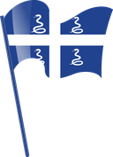 The Flag of Drapeau Aux Serpents De La Martinique Pole Flag I