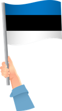 The Flag of Estonia Handheld