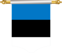 The Flag of Estonia Hanging Banner I
