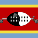 The Flag of Eswatini Square