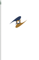 The Flag of Eurasian Economic Union Pole Flag II