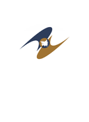 The Flag of Eurasian Economic Union Map Pin