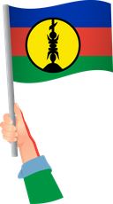 The Flag of Flnks Handheld