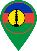 The Flag of Flnks Map Pin