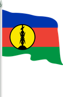 The Flag of Flnks Pole Flag II