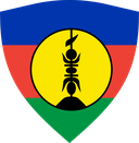 The Flag of Flnks Shielded II