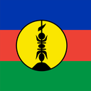 The Flag of Flnks Square