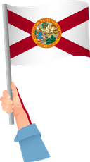 The Flag of Florida Handheld