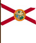 The Flag of Florida Pole Flag III