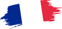 The Flag of France Brushed
