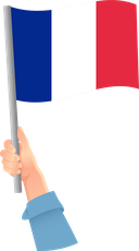 The Flag of France Handheld