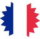 The Flag of France Star Burst