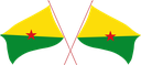 The Flag of French Guiana Crossed Flags