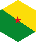 The Flag of French Guiana Hexagon II