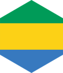 The Flag of Gabon Hexagon II