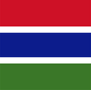 The Flag of Gambia Square