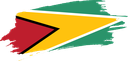 The Flag of Guyana Brushed