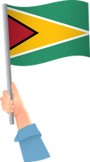 The Flag of Guyana Handheld