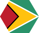 The Flag of Guyana Hexagon I