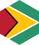 The Flag of Guyana Hexagon II
