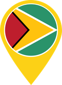 The Flag of Guyana Map Pin