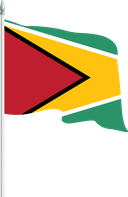 The Flag of Guyana Pole Flag II